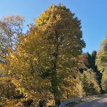 Haus Martina Apartament Tux