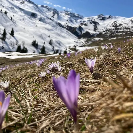 Apartament Haus Martina