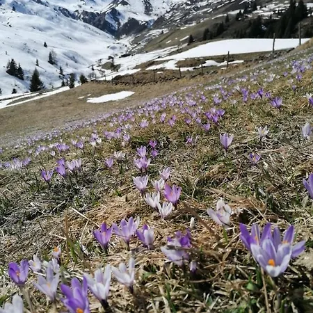 Haus Martina Apartament Tux