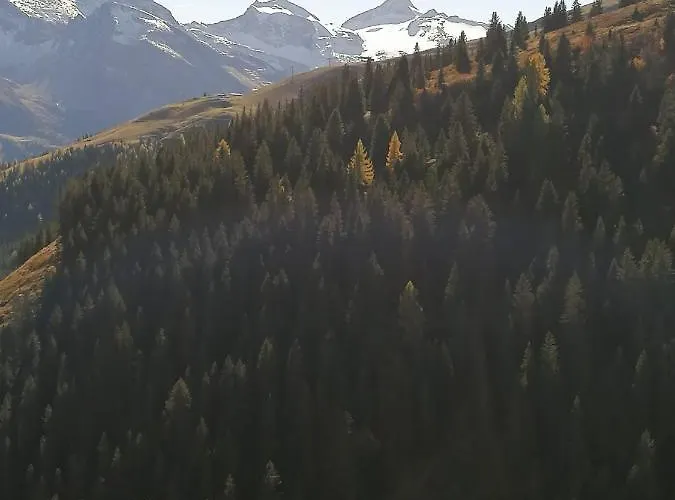 Apartment Haus Martina Tux