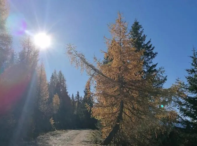 Apartmán Haus Martina *