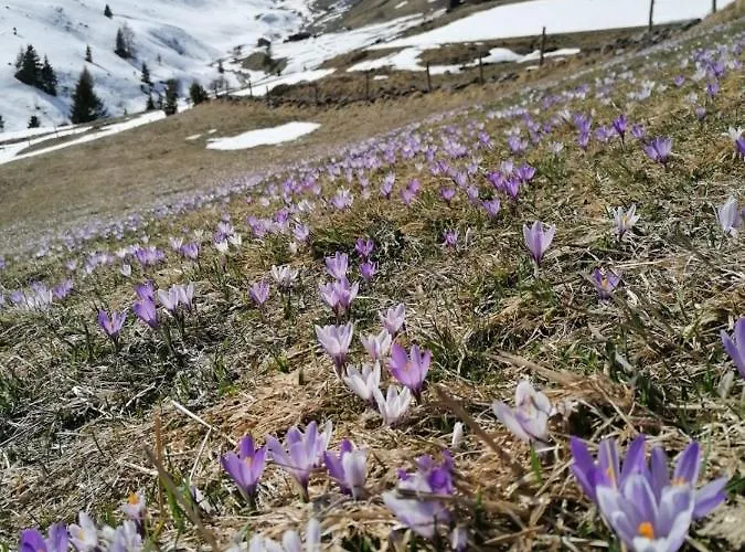 Haus Martina Apartment Tux