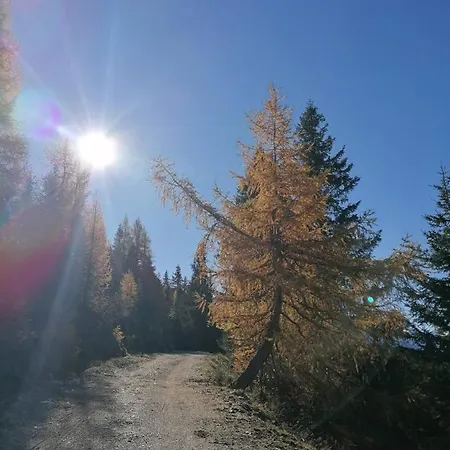 Lägenhet Haus Martina *