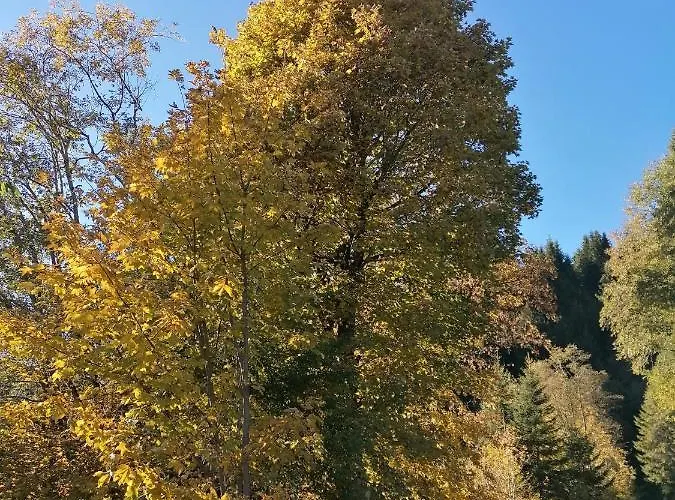 Haus Martina Apartmán Tux