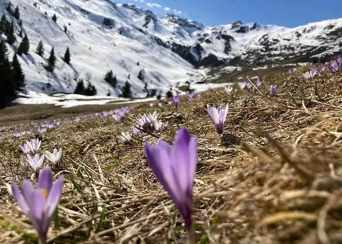 Apartmán Haus Martina